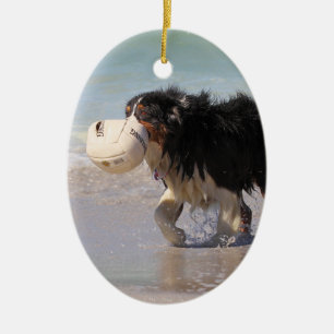 Ornamento De Cerâmica Border collie - futebol qualquer um?