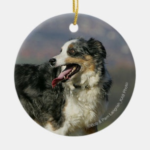 Ornamento De Cerâmica Border collie que arfa 2