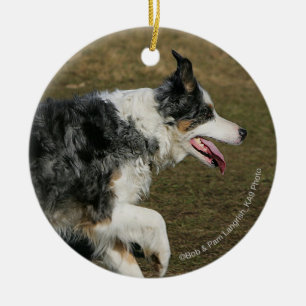 Ornamento De Cerâmica Border collie que funciona 1
