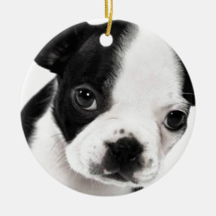 Ornamento De Cerâmica Boston Terrier