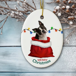 Ornamento De Cerâmica Boston Terrier Dog em Holiday Gift Bag