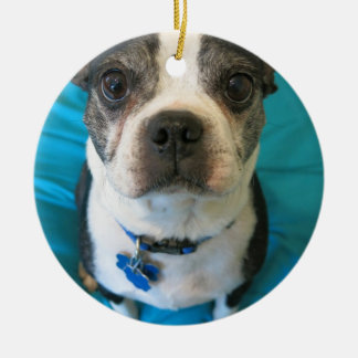 Ornamento De Cerâmica Boston Terrier que senta-se em uma cama