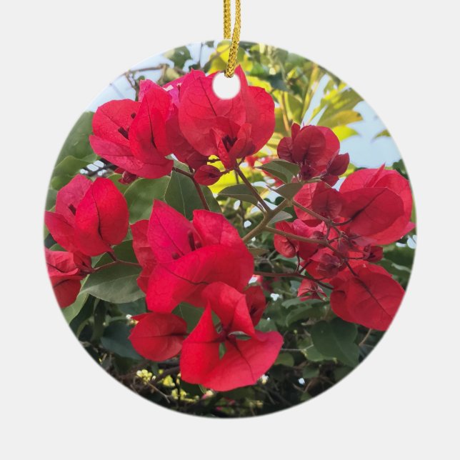 Ornamento De Cerâmica Bougainvillea (Frente)