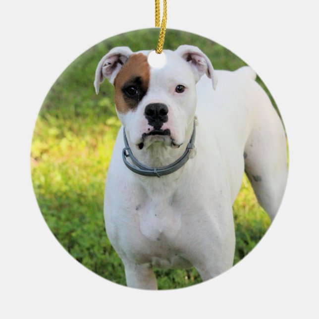 Ornamento De Cerâmica Boxer (Frente)