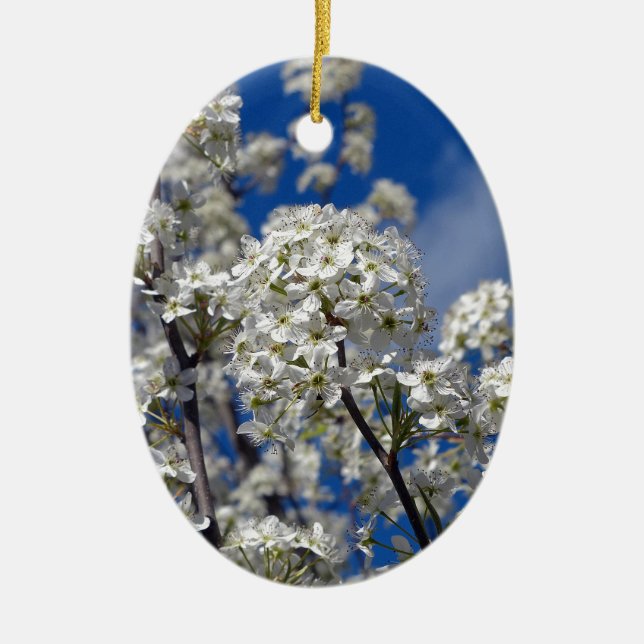 Ornamento De Cerâmica Bradford Pear Blooms (Frente)