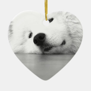 Ornamento De Cerâmica Branco do cão da foto do Samoyed