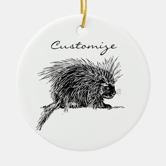 Ornamento De Cerâmica Brilhante Hedgehog Thunder_Cove (Frente)