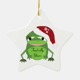 Ornamento De Cerâmica Brincadeira Engraçado num Chapéu de Papai Noel
