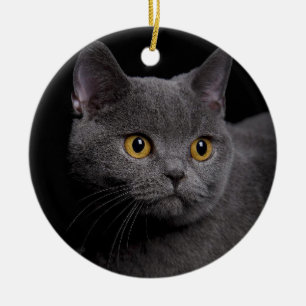 Ornamento De Cerâmica British Shorthair Ornament