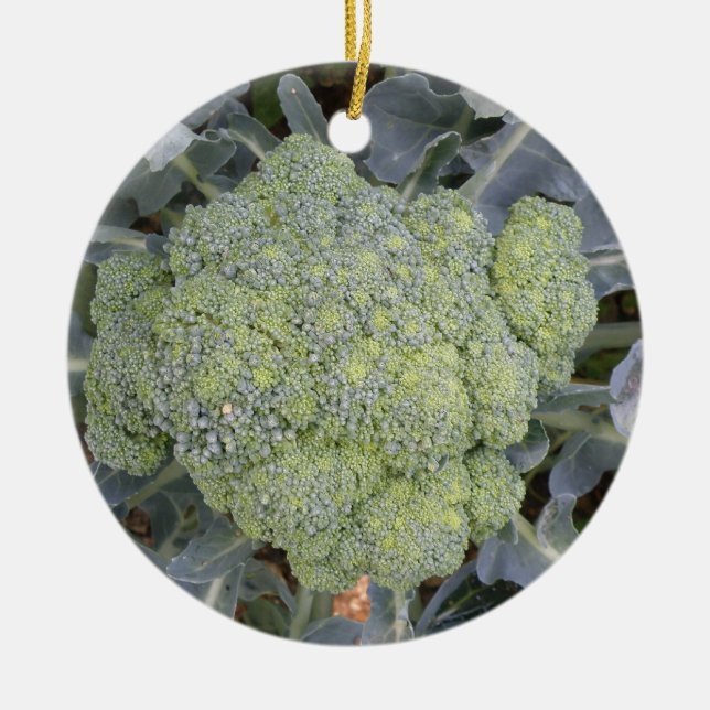 Ornamento De Cerâmica Broccoli Custom Birthday (Frente)