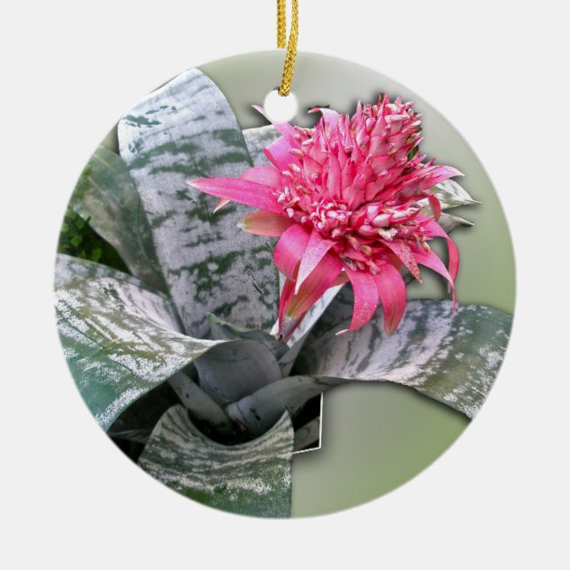 Ornamento De Cerâmica Bromélia Flores Rosa (Frente)