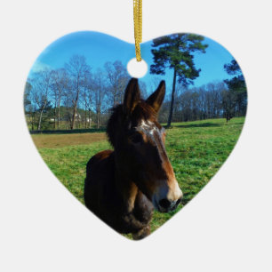 Ornamento De Cerâmica Brown e mula branca