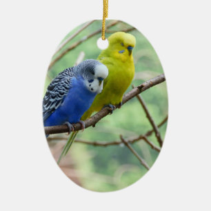 Ornamento De Cerâmica Budgie maravilhoso