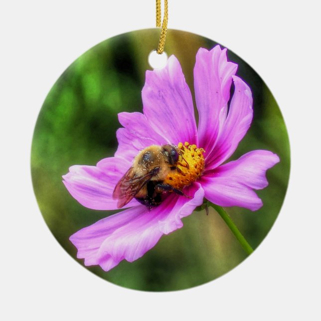 Ornamento De Cerâmica Bumble Bee em Cosmos Rosa (Frente)