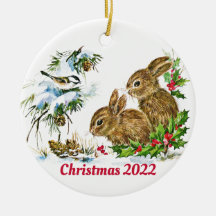 Bunnies e Bird Aproveitem o Natal Personalizado da