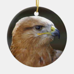 Ornamento De Cerâmica Buzzard de pernas longas