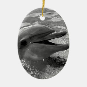 Ornamento De Cerâmica Cabeça do golfinho em preto e branco aberto da