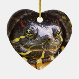 Ornamento De Cerâmica Cabeça orelhuda vermelha da tartaruga do slider