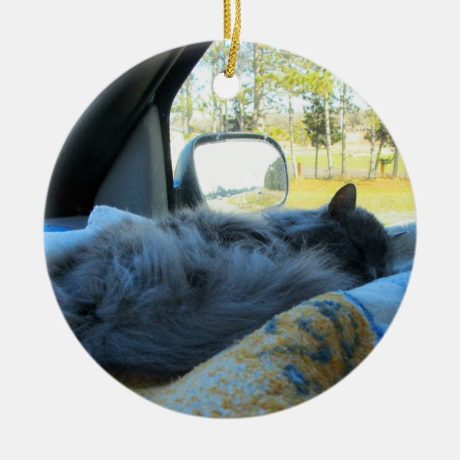Ornamento De Cerâmica Cabelo Azul Gato Dormindo em Carro (Frente)