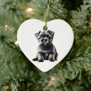 Ornamento De Cerâmica Cachorro Affenpinscher Filhote Personalizado