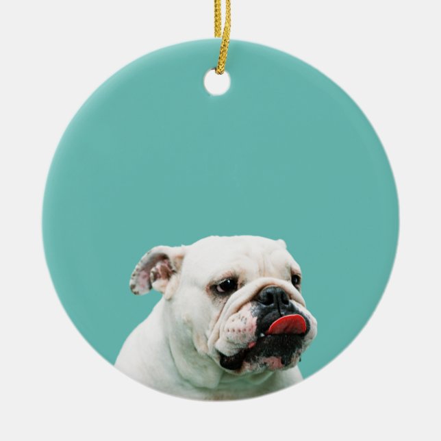 Ornamento De Cerâmica Cachorro-branco (Frente)