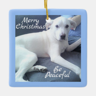 Ornamento De Cerâmica Cachorro Branco, Branco, pacífico, sentado com az