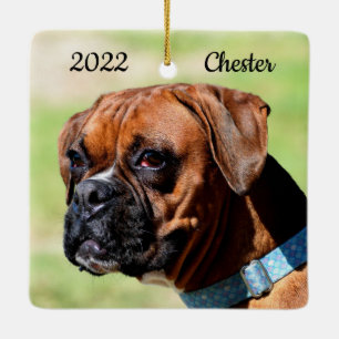 Ornamento De Cerâmica Cachorro-branco-marrom