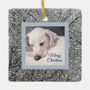 Ornamento De Cerâmica Cachorro Branco pacífico Cachorro Neve Dia Azul N
