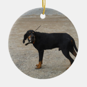 Ornamento De Cerâmica Cachorro Caçador Cansado