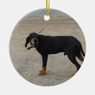 Ornamento De Cerâmica Cachorro Caçador Cansado
