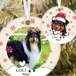 Ornamento De Cerâmica Cachorro Collie Sólido, Cachorro Personalizado, Ce