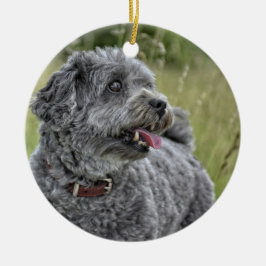 Ornamento De Cerâmica Cachorro Cortado Terrier