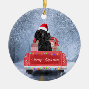 Ornamento De Cerâmica Cachorro de Poodle em Neve sentado no Caminhão de
