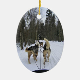 Ornamento De Cerâmica Cachorro Dormindo em Quebec, Canadá