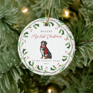 Ornamento De Cerâmica Cachorro é o meu primeiro Natal com o nome Bernese