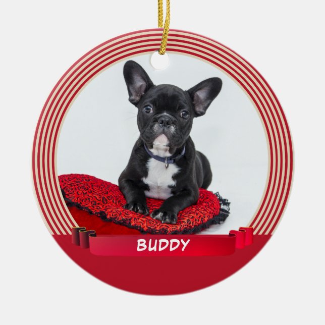 Ornamento De Cerâmica Cachorro Elegante Puppy Pet Photo Red Ribbon (Frente)
