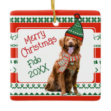 Cachorro Engraçado com Elf Hat e Scarf Red Green P