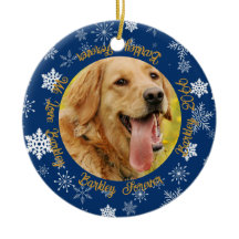 Cachorro Então e Agora 2 Flocos de Neve Azul Fotog