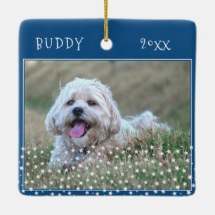 Ornamento De Cerâmica Cachorro Fofo Pet 2 Fotos Padrão de Estrela Azul N