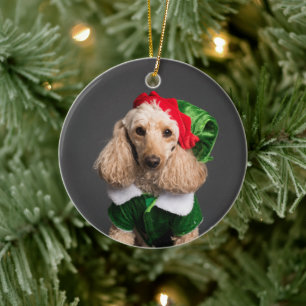 Ornamento De Cerâmica Cachorro na Figurina de Elf