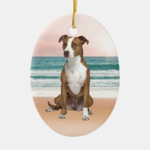 Ornamento De Cerâmica Cachorro Pitbull bonito sentado na praia com o pôr