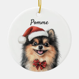 Ornamento De Cerâmica Cachorro Pomerânia Personalizado 