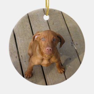 Ornamento De Cerâmica cachorro vizsla
