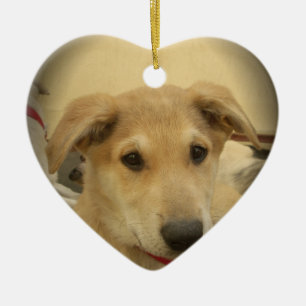 Ornamento De Cerâmica Cachorros Fofos e Filhotes Segundo Melhor Amigo do