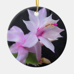Ornamento De Cerâmica Cacto de Natal, fotografia