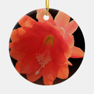 Ornamento De Cerâmica Cacto de orquídea - Epiphyllum Ackermannii - flor