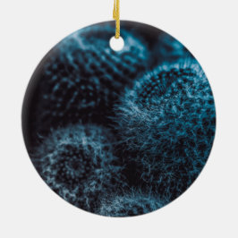 Ornamento De Cerâmica Cacto Escuro