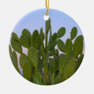 Ornamento De Cerâmica Cactos e sisal na Floresta Seca