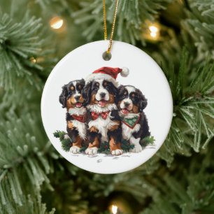 Ornamento De Cerâmica Cães Berneses de Natal