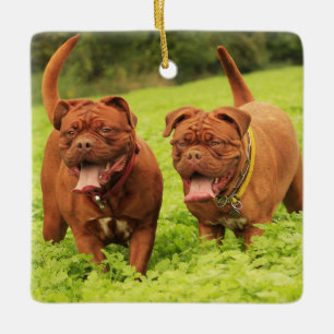 Ornamento De Cerâmica Cães de cachorrinho na grama